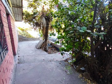 Imagen 16