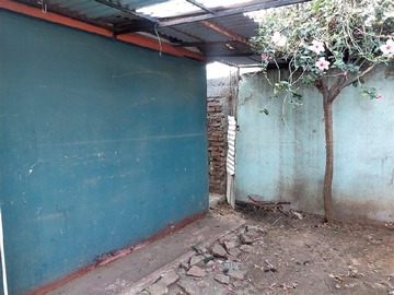 Imagen 13