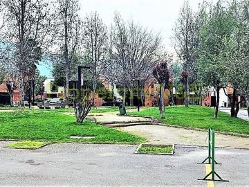 Imagen 13