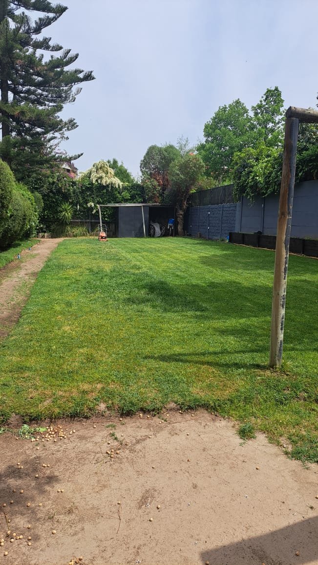 Patio trasero común para la comunidad