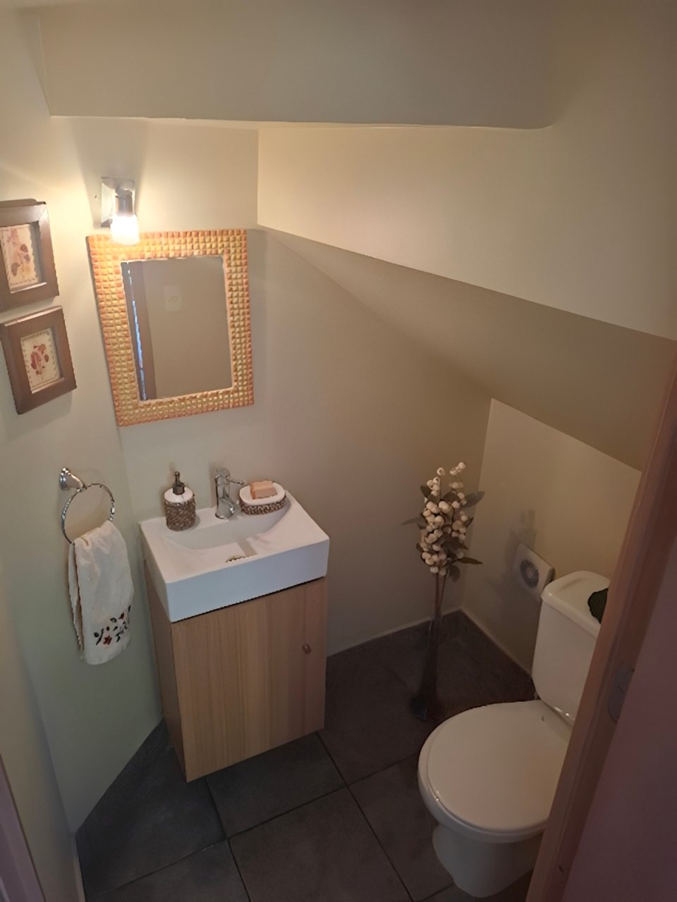 baño visita