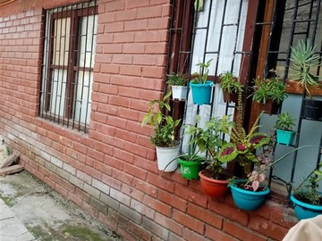 Imagen 7
