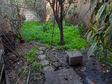 Imagen 5