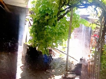 Imagen 12