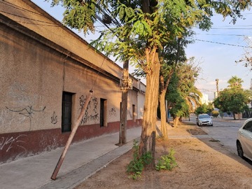 Imagen 23
