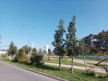 Imagen 10