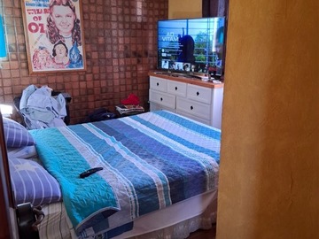 Imagen 13