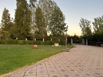 Imagen 6