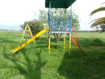 Imagen 7