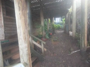 Imagen 8