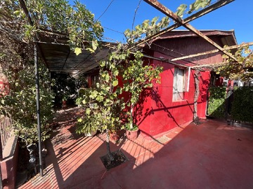 Imagen 14