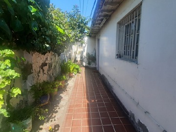 Imagen 13
