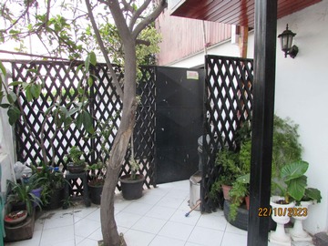 Ante jardin