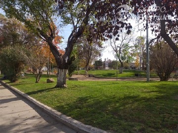 Imagen 24