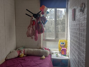 Imagen 5