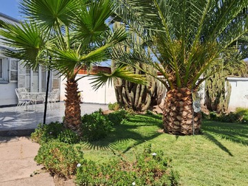Imagen 27