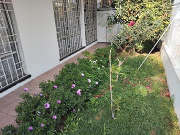 Imagen 4