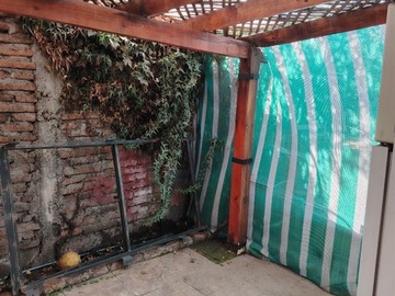 Imagen 7
