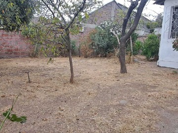 Imagen 19