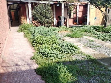 Imagen 4