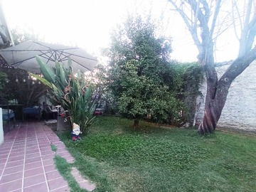 Imagen 9