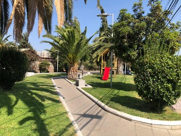 Imagen 6