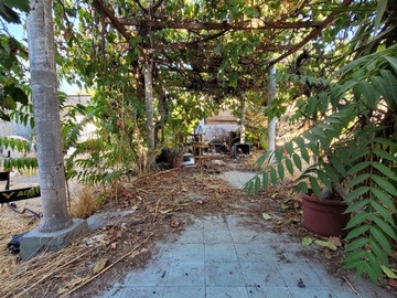 Imagen 11