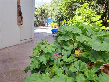 Imagen 6