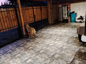 Venta / Casa / La Cisterna