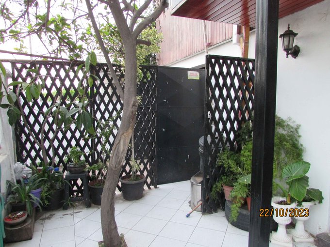 Ante jardin