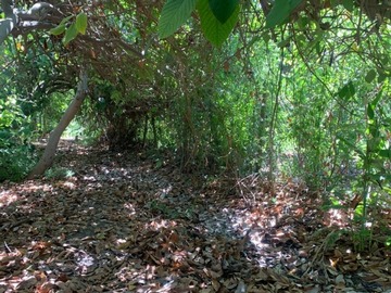 Imagen 10