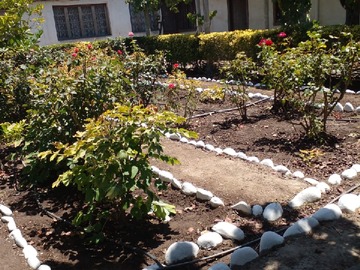 Venta / Casa / La Cruz