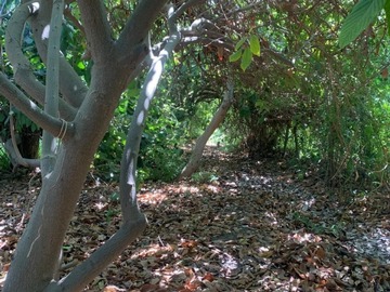 Imagen 9