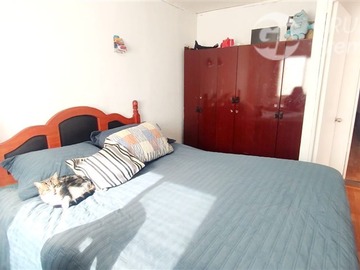 Imagen 21