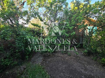 Imagen 13