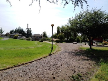 Imagen 10