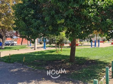 Imagen 11