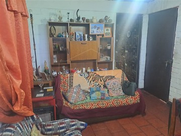 Imagen 10
