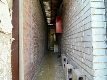 Imagen 11