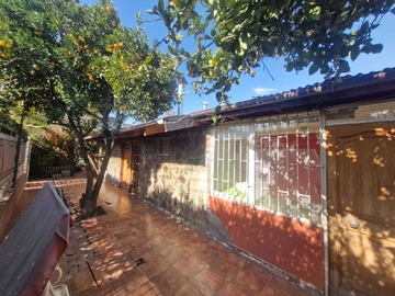 Imagen 5