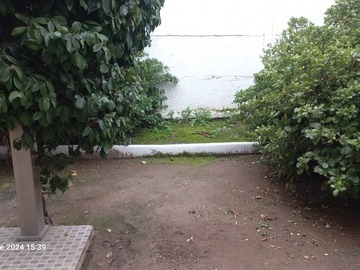 Imagen 16
