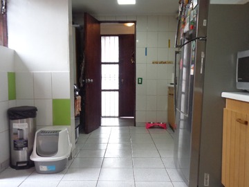 Imagen 13