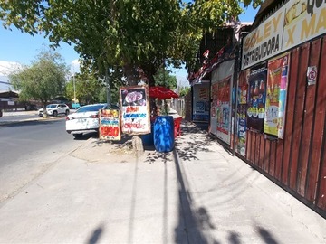 Imagen 14