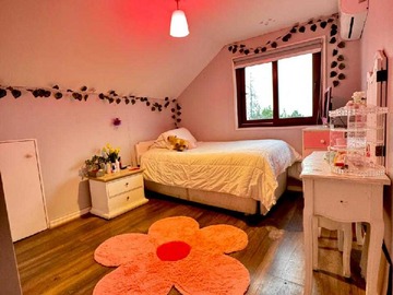 Imagen 15