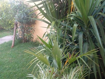 Imagen 20