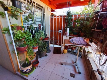Imagen 19