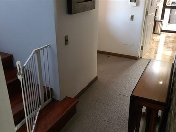 Imagen 7
