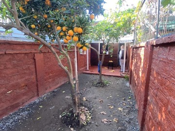 Imagen 8