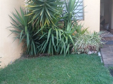 Imagen 21