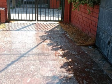 Imagen 6